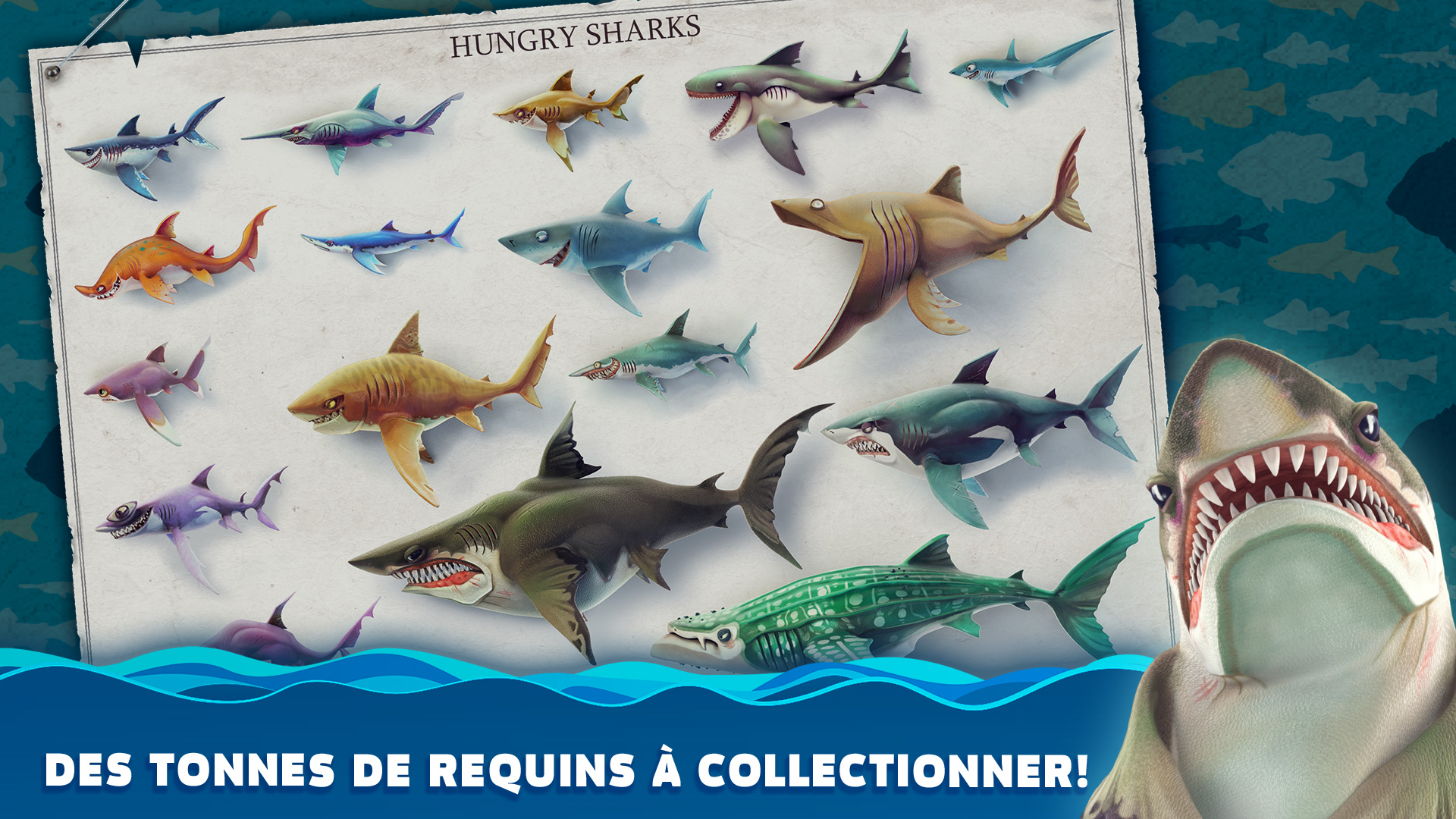 تحميل لعبة Hungry Shark World مهكرة لـ أندرويد